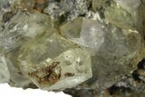 Rare, Glassy Yellow Anglesite Crystals on Galena - Morocco #251493-2